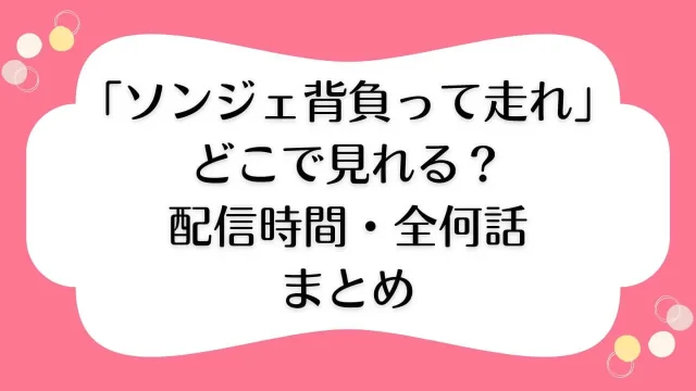 ソンジェ背負って走れ どこで見れる U-NEXT 日本配信時間 全何話